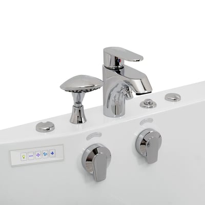 Close-up of chrome faucet, handheld showerhead, jet controls, and digital panel on Ella Tub4Two walk-in tub deck
