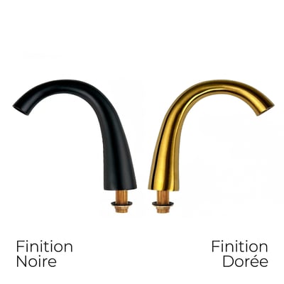 Comparaison côte à côte des robinets à remplissage rapide pour baignoires à porte, en finitions noir mat et or