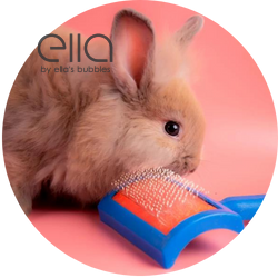 Fluffy bunny grooming with a brush beside the Ella by Ella's Bubbles microbubble therapy pet spa bath tub logo