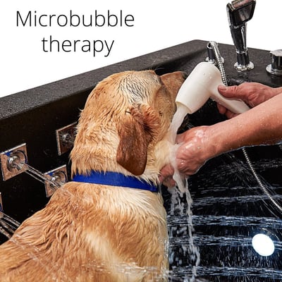 Wet golden retriever being rinsed with a handheld microbubble therapy shower wand in a black pet spa bath tub