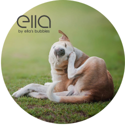 Ella by Ella's Bubbles logo over a dog scratching itself outdoors, promoting microbubble therapy pet spa bath tub