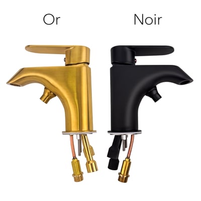 Comparaison côte à côte des robinets à remplissage rapide à poignée unique doré et noir mat pour baignoires à porte Ella, avec flexibles d’alimentation visibles