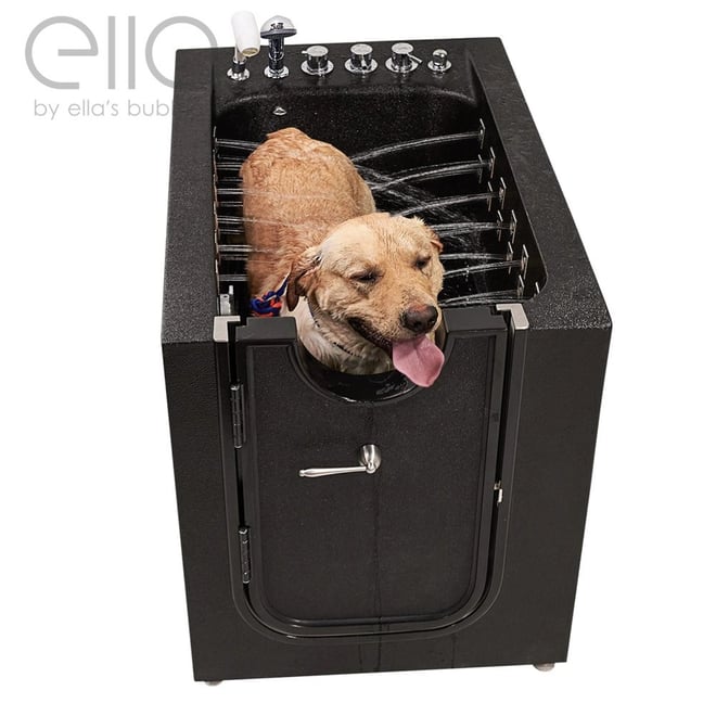 Golden Labrador being rinsed with water jets inside an Ella's Bubbles black walk-in pet tub with side entry door