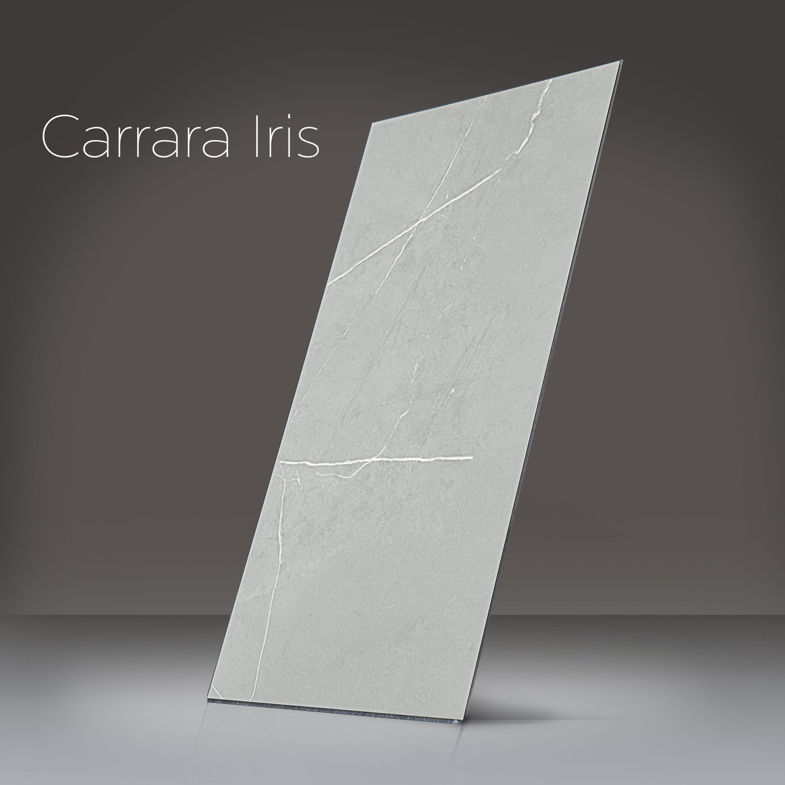 Ella T&G Grout-Free 12" x 24" Shower Wall Tile - %3E - Carrara Iris shower wall panel in light gray marble finish with white veining for accessible showers