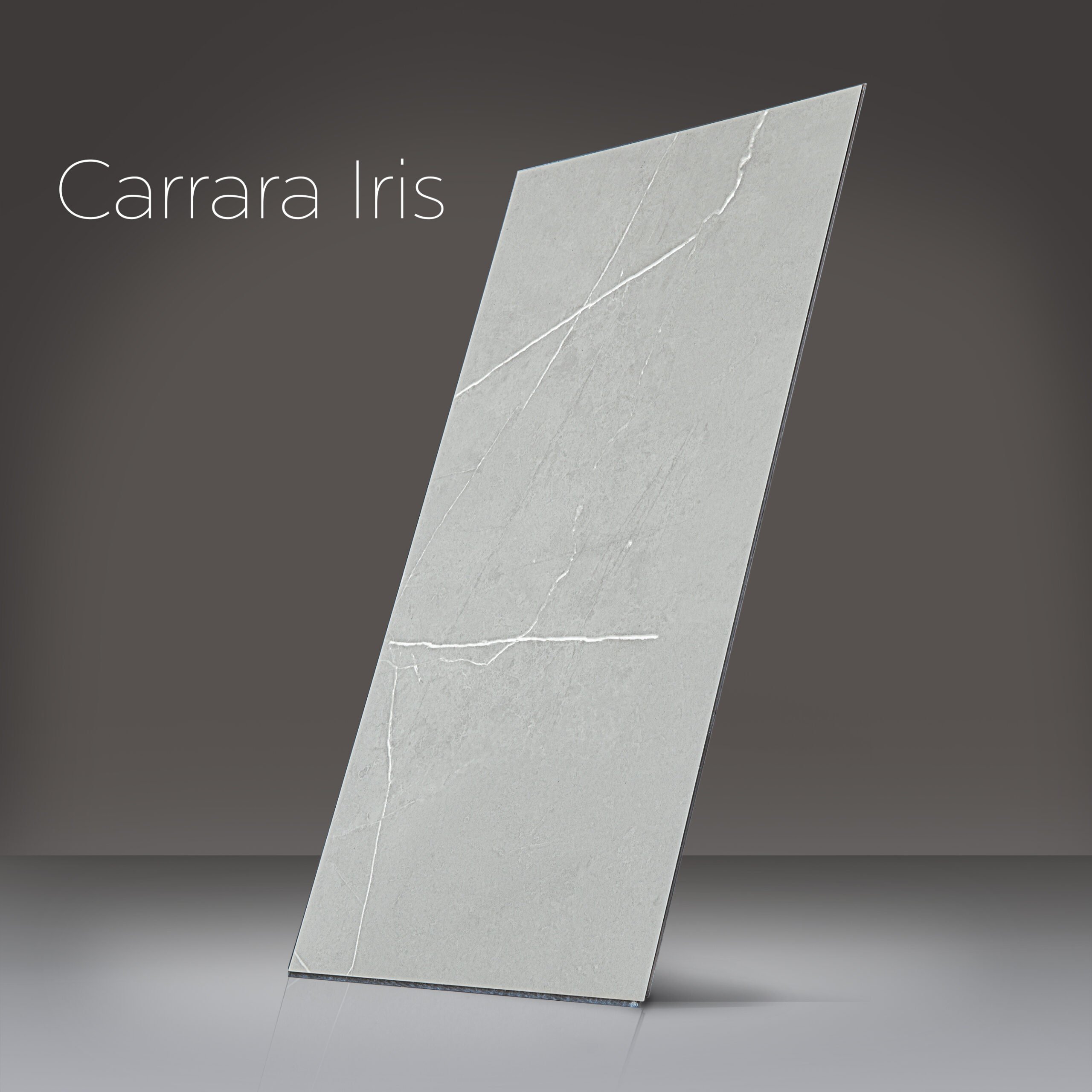 Ella T&G Grout-Free 12" x 24" Shower Wall Tile - %3E - Carrara Iris shower wall panel in light gray marble finish with white veining for accessible showers
