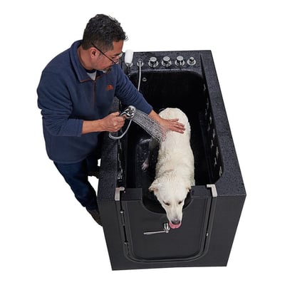 Man using a handheld showerhead to rinse a large white dog inside an Ella microbubble therapy pet spa walk-in tub