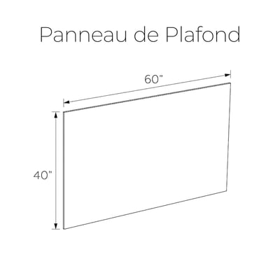 Schéma technique d'un panneau de plafond de douche mesurant 60 pouces de largeur sur 40 pouces de hauteur avec cotes